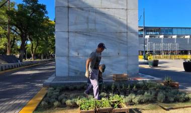 San Francisco inicia el año con remplazo de plantas para embellecer la ciudad