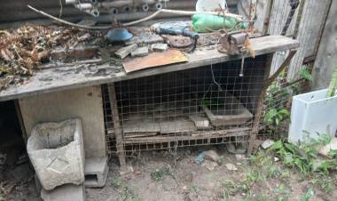 Tras varios días de lluvia el municipio recuerda la importancia del descacharreo domiciliario