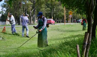 Continúan los trabajos en el área de Servicios Públicos