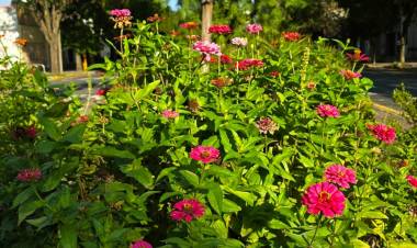 Se trabaja en la renovación de plazas, parques y paseos antes de la llegada del otoño