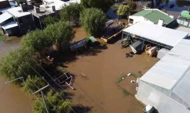 El municipio de San Francisco se sumó a colaborar con Colonia Marina