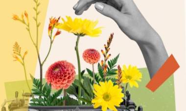 Sigue abierta la convocatoria al Premio Literario Provincia de Córdoba 2026 – Poesía