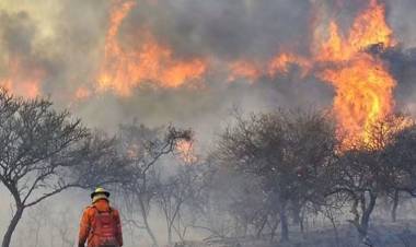 El riesgo de incendios forestales será extremo toda la semana