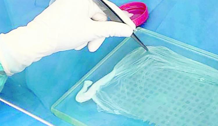 El Banco Multitejidos de la Provincia lanzó campaña de donación de placentas