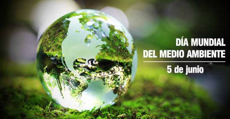 Día Mundial del Medio Ambiente: Reimagina, Recrea y Restaura