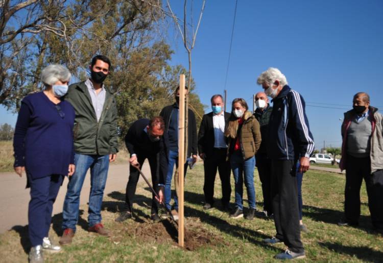 Se plantaron nuevas especies en la Plaza de los Abuelos