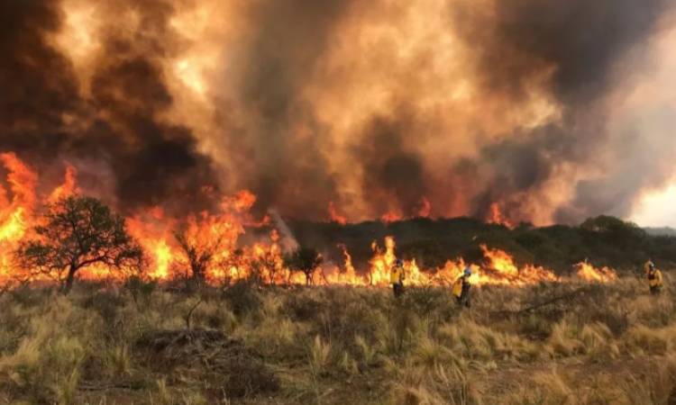Incendios: El fuego no da tregua y el viento complica la situación