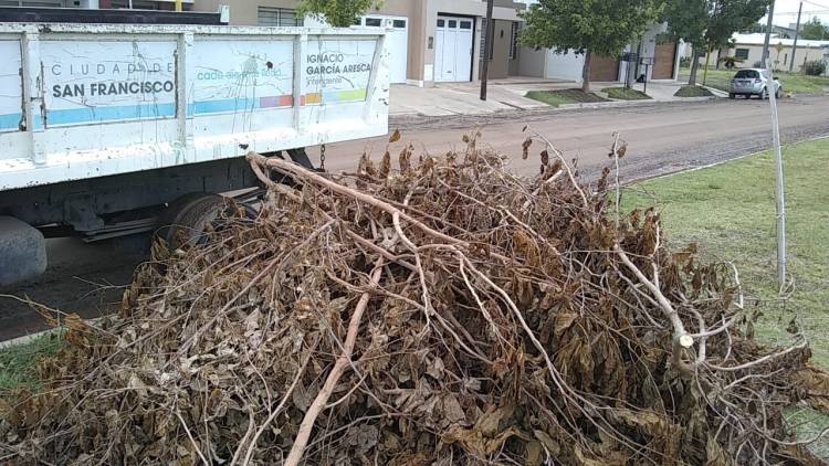 El municipio intensifica tareas para erradicar minibasurales