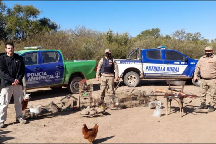 Tulumba: Rescatan 24 tortugas de la tenencia ilegal