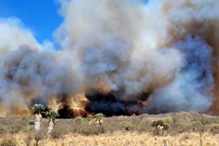 Fin de semana con riesgo extremo de incendio en Córdoba