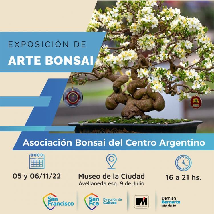Agenda Cultural en el Museo de la ciudad