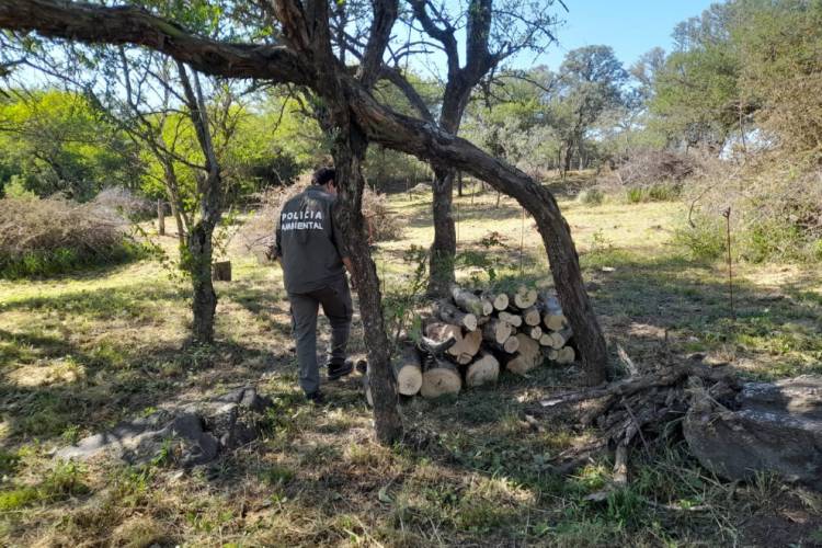 Policía Ambiental paralizó intervenciones forestales en diferentes zonas de la provincia