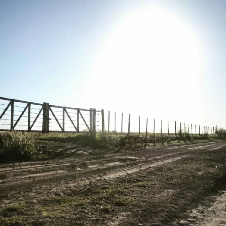 Nación homologó la emergencia para campos productivos de Córdoba