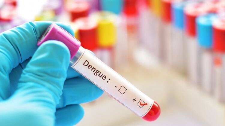 La OMS alertó que el cambio climático incide en la circulación de dengue