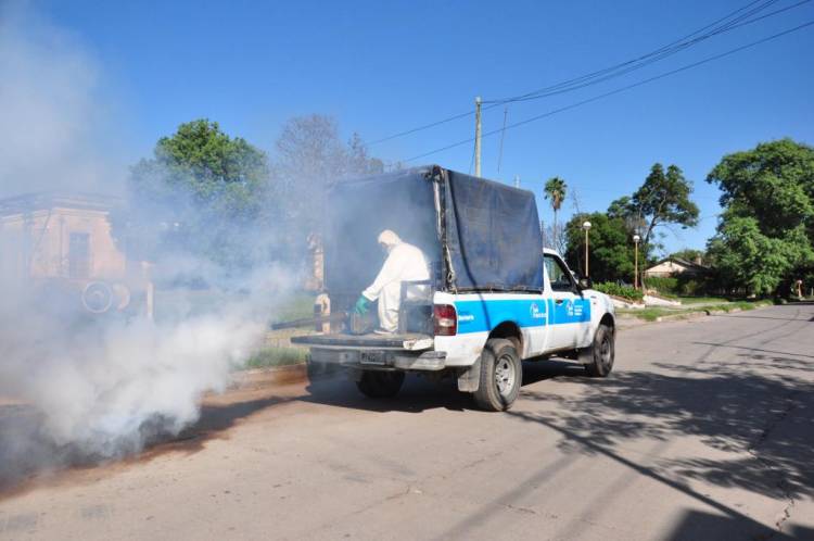 Dengue: el municipio redobla esfuerzos ante el aumento de casos