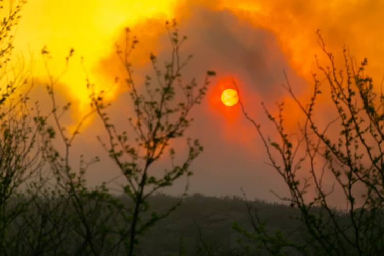 Incendios: estado de situación de incendios en la provincia
