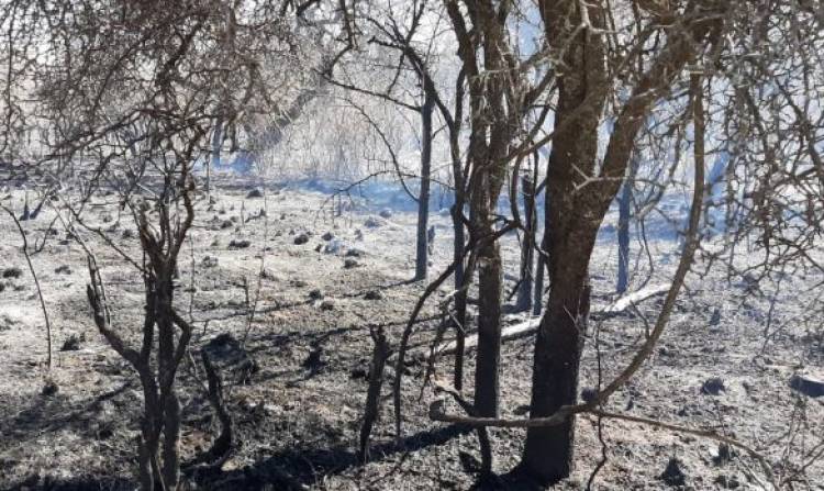 Lograron controlar el incendio en San Pedro Viejo