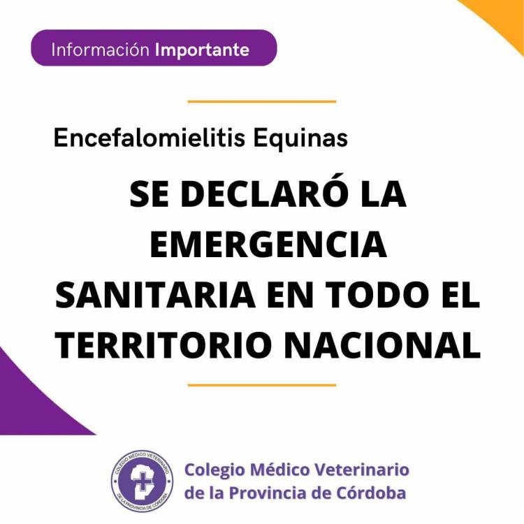 Emergencia sanitaria en todo el país por Encefalomielitis Equina