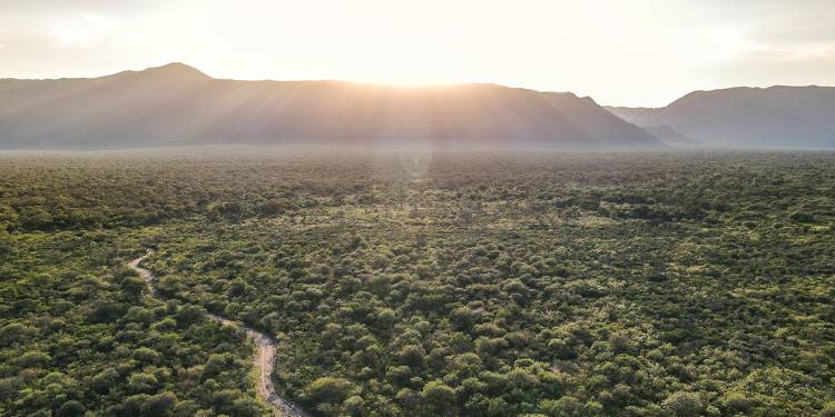 Turismo ecológico: la reserva forestal Chancaní ofrece 5 mil hectáreas de ecosistemas diversos