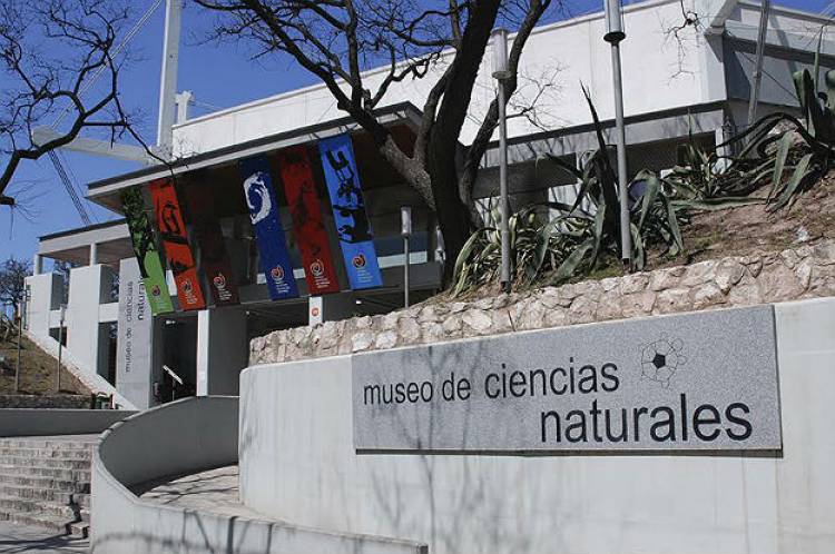 El Museo de Ciencias Naturales convoca a artistas, científicos y educadores para la programación 2026