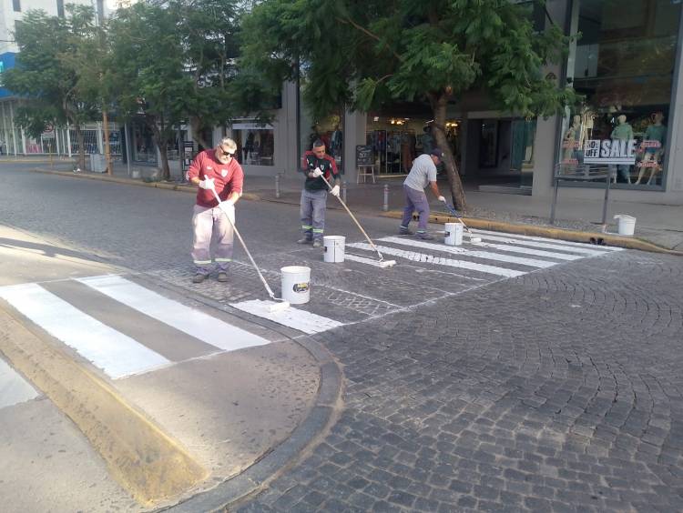 Infraestructura: municipio avanzó esta semana con bacheo, arreglos de cordón cuneta y pintado de sendas peatonales