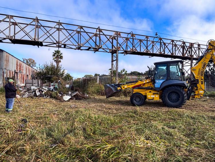 Avanzan los trabajos de limpieza y mantenimiento en el predio del Ferrocarril Belgrano