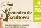 Mina Clavero: Encuentro de escultores de árboles secos