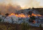 Ante el grave riesgo de incendio piden acentuar la prevención