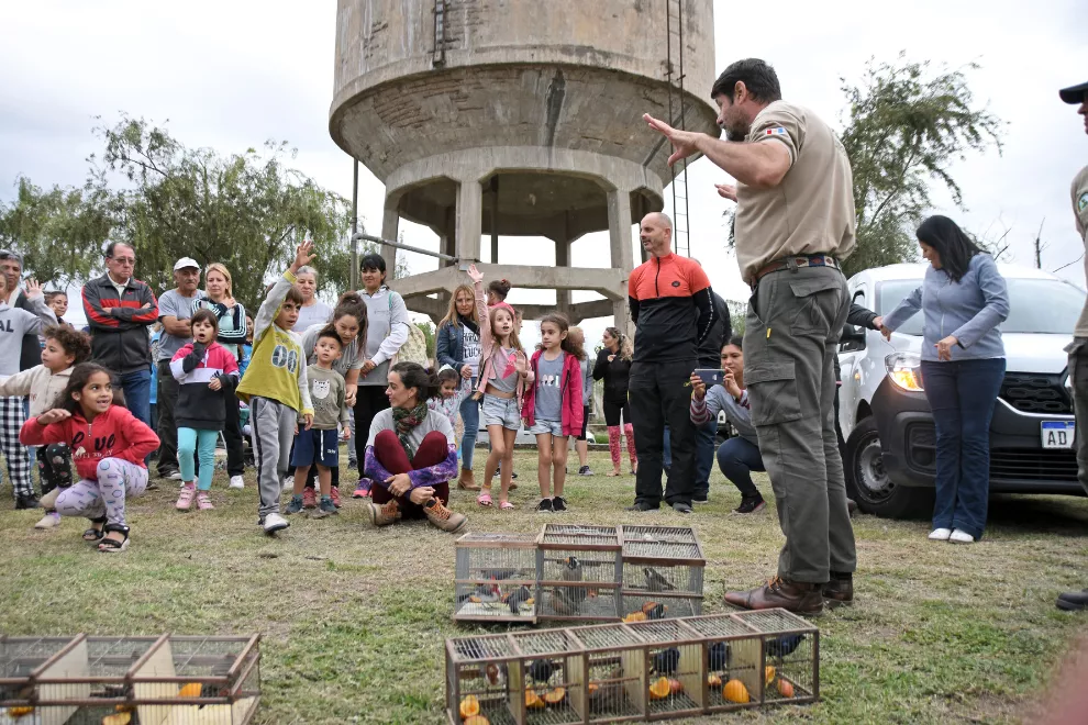 Tránsito: liberan 24 aves recuperadas de la tenencia y transporte ilegal