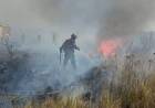 Bomberos controlaron incendio en Capilla del Monte