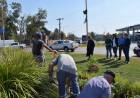 Ya luce la primera producción de plantines a cargo de internos del Servicio Penitenciario en San Francisco