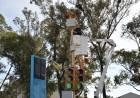El Municipio continúa con las mejoras y actualizaciones en el sistema de detección de patentes integrado al Centro de Atención Ciudadana
