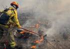 Córdoba: El riesgo de incendios es muy alto