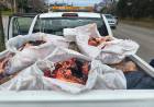 Departamento Colón: decomisaron 370 kilos de carne durante controles en Mendiolaza