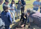 Se plantaron 50 ejemplares nuevos en el Polideportivo Municipal