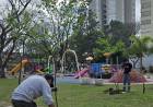 Se realiza intensa plantación de ejemplares del arbolado urbano en plazas y espacios públicos de la ciudad
