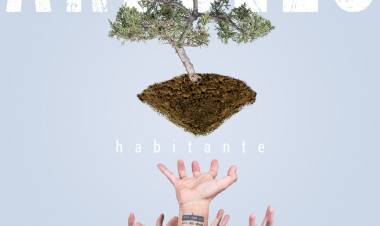Arboles, una renovada forma de componer rock