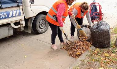 Campaña Hojarasca 2021