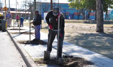 El municipio continúa con el Plan de Reforestación 