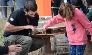Liberaron hoy aves autóctonas en Arroyito