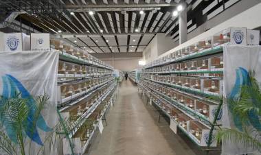 Exitosa apertura del 72° Campeonato Argentino de Canaricultura en el Superdomo