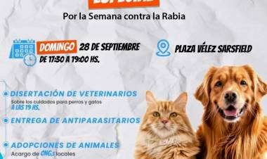 Este domingo habrá una jornada gratuita especial de vacunación y adopción de animales