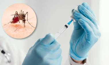 Salud amplía la vacunación contra el dengue, ¿dónde vacunarse en San Francisco?