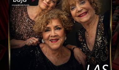 Agenda para todo público en el Teatrillo: Atrevidas, Las Guerreras del K-Pop y Honrar el Sapo