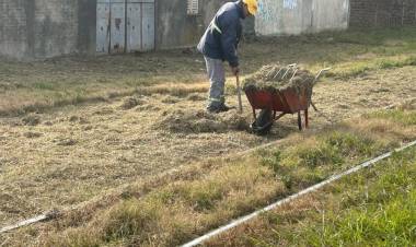 Siguen las tareas de mantenimiento en el FFCC Belgrano y el chipeado de ramas