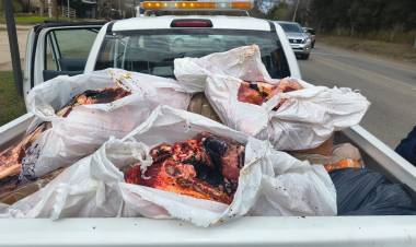 Departamento Colón: decomisaron 370 kilos de carne durante controles en Mendiolaza