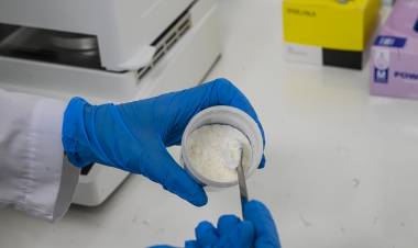 Córdoba avanza en el desarrollo de miel en polvo para potenciar el agregado de valor a la producción apícola