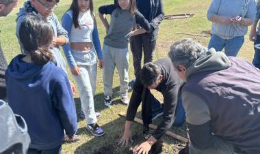 Se plantaron 50 ejemplares nuevos en el Polideportivo Municipal