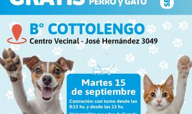 Cronograma de la campaña de vacunación antirrábica y castraciones para esta semana