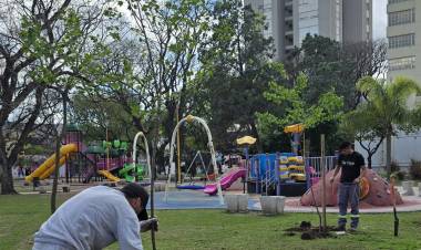 Se realiza intensa plantación de ejemplares del arbolado urbano en plazas y espacios públicos de la ciudad